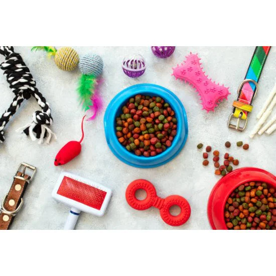 Домашни любимци