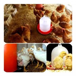 Автоматична поилка за птици W11 (К-КТ / 10 БР)