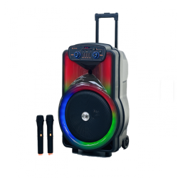 Безжична тонколона BT-1518 15inch с два безжични микрофона