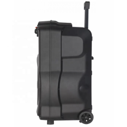 Безжична тонколона BT-1518 15inch с два безжични микрофона