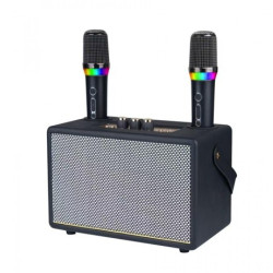 Безжична тонколона в ретро стил с два безжични микрофона