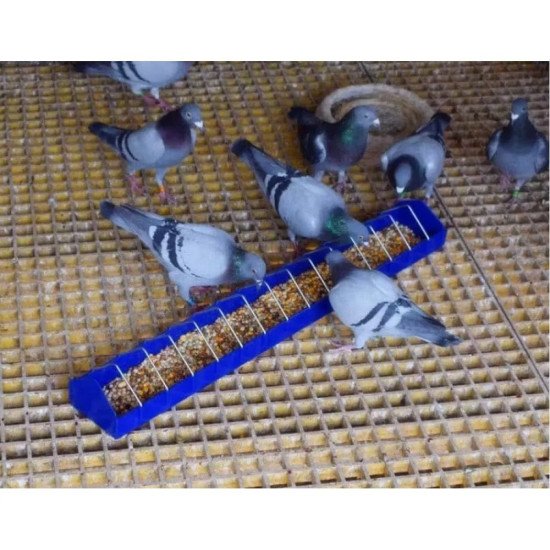 Хранилка за птици 100 см