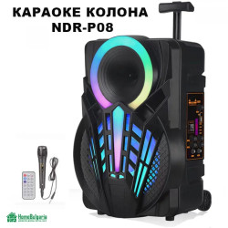 КАРАОКЕ КОЛОНА NDR-P08
