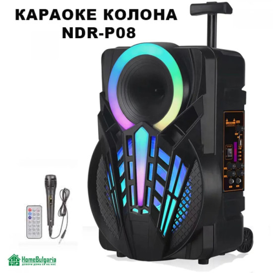КАРАОКЕ КОЛОНА NDR-P08