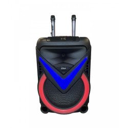 КАРАОКЕ КОЛОНА WGY-1801