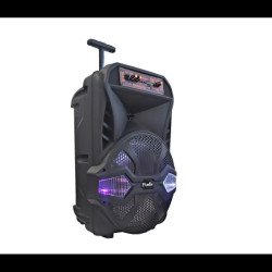 Караоке Тонколона 12 инча PAudio