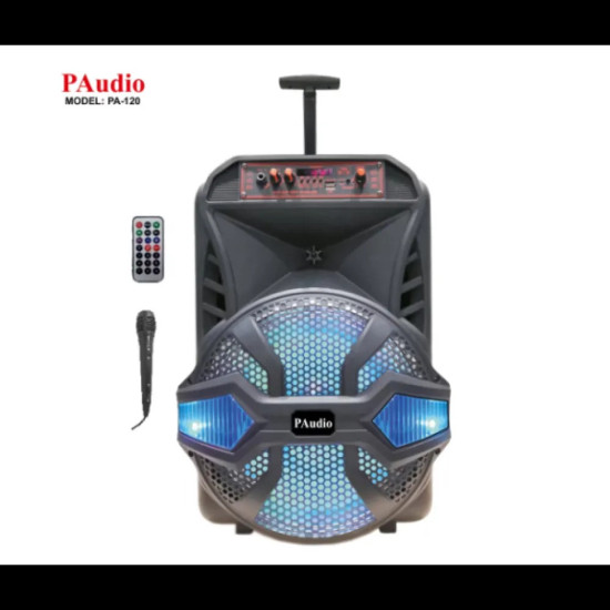 Караоке Тонколона 12 инча PAudio