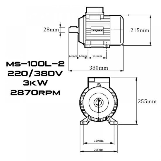 Електродвигател трифазен ТУНДЖА MS100L-2 3kW 2800 оборота/минута