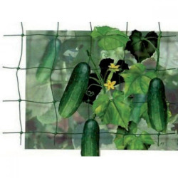 Мрежа поддържаща за пълзящи растения - 1.5х1000м