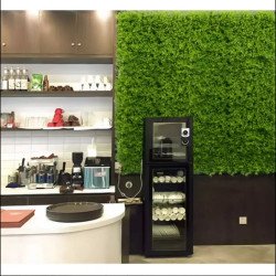 Пано от изкуствена зелена декорация - 50х50 см