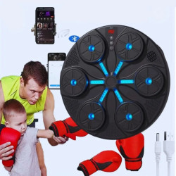 Тренировъчна мишена за бокс