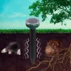 2 БРОЯ СОЛАРЕН УРЕД СРЕЩУ КЪРТИЦИ , СЛЯПО КУЧЕ , ГРИЗАЧИ И ДРУГИ ВРЕДИТЕЛИ – Борба с вредители | TopZone.bg