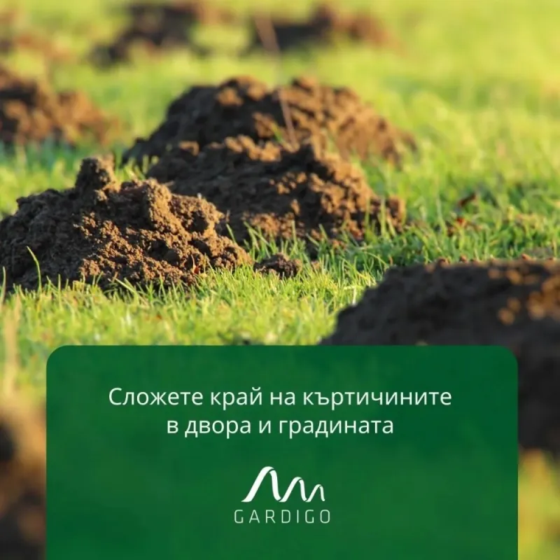 2 Броя Соларен уред против къртици, мравки и полевки Gardigo – Борба с вредители | TopZone.bg