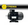 Електродвигател трифазен ТУНДЖА MS100L-2 3kW 2800 оборота/минута – Електродвигатели | TopZone.bg