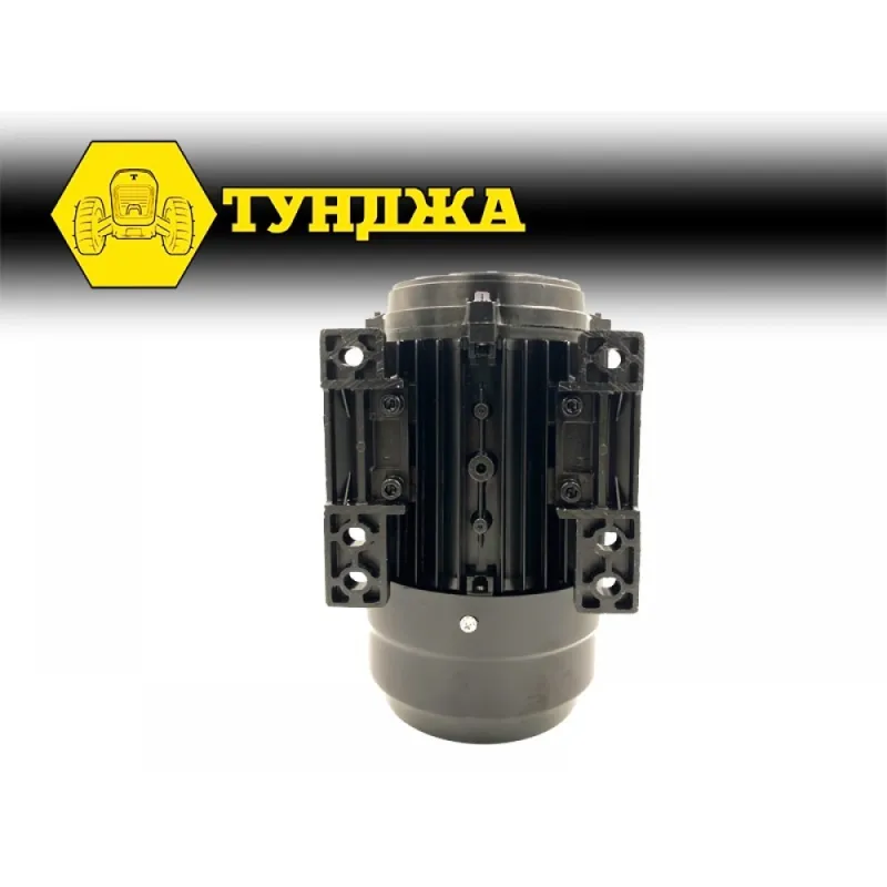 Електродвигател трифазен ТУНДЖА MS100L-2 3kW 2800 оборота/минута – Електродвигатели | TopZone.bg