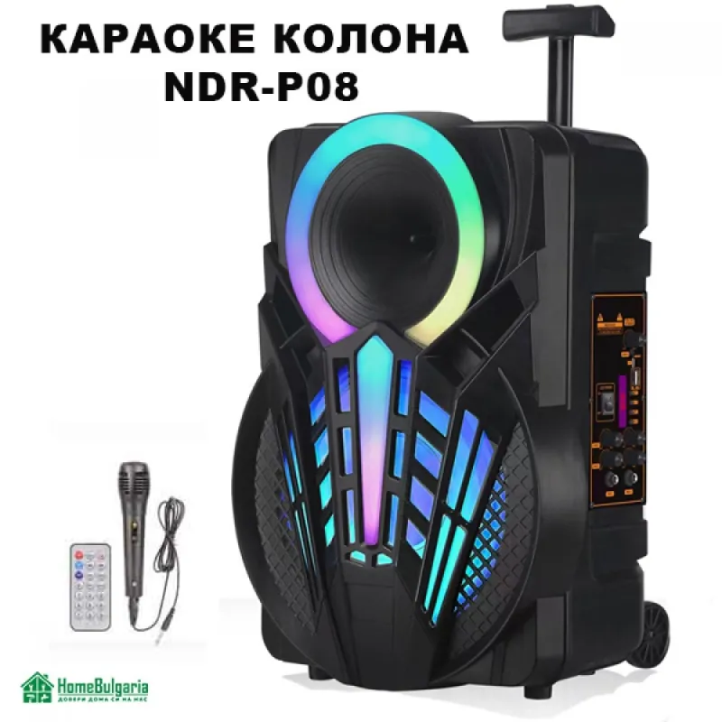 КАРАОКЕ КОЛОНА NDR-P08 – Аудио техника | TopZone.bg