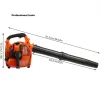 Мощен Бензинов Издухвател 1100W – Градинска техника | TopZone.bg