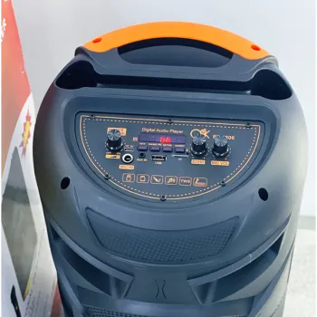 Безжична тонколона BT-8806, 2х8inch говорители
