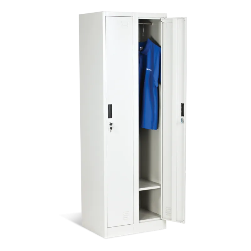 МЕТАЛЕН ШКАФ CR-1242-2 E K - СИВ – Дом | TopZone.bg