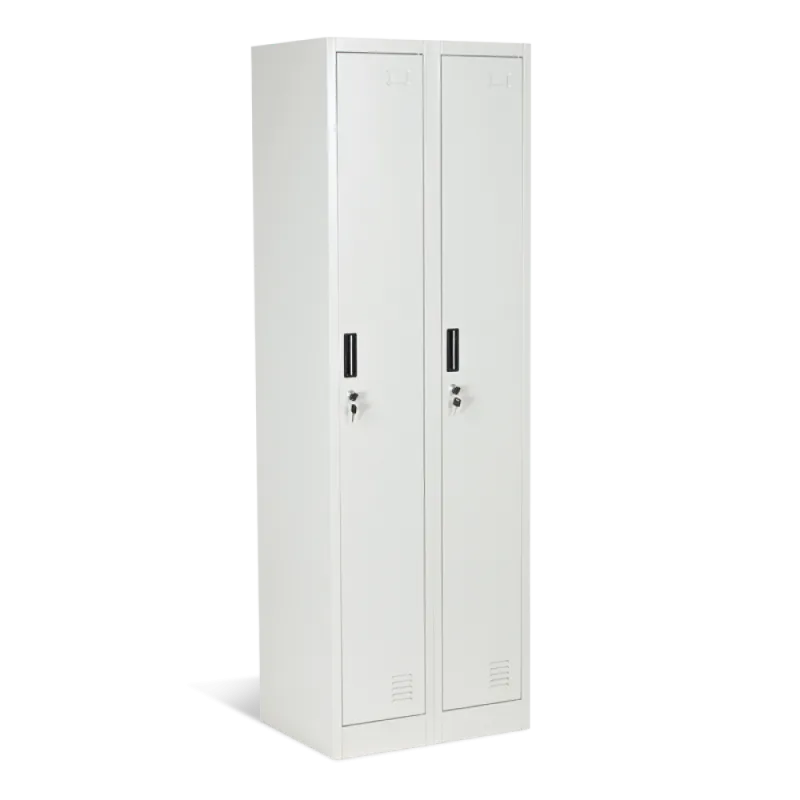 МЕТАЛЕН ШКАФ CR-1242-2 E K - СИВ – Дом | TopZone.bg