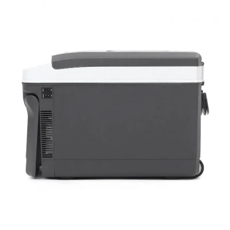 Хладилна чантакутия за автомобил, Къмпинг, 25 л, 12V24V220V – Къмпинг | TopZone.bg